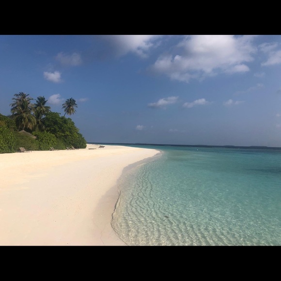 Meet your Posher - Picture 1 of 1